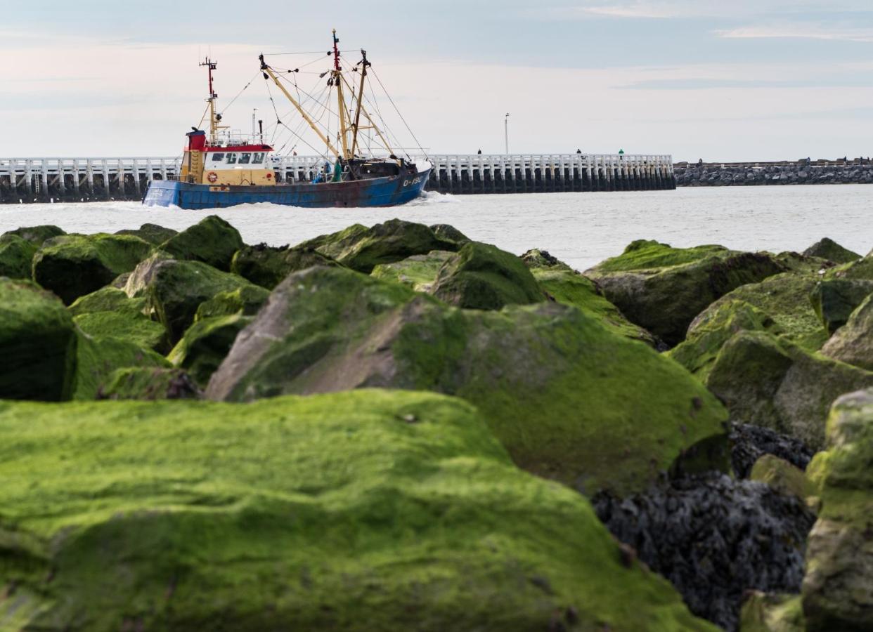 Oosternest Ostende